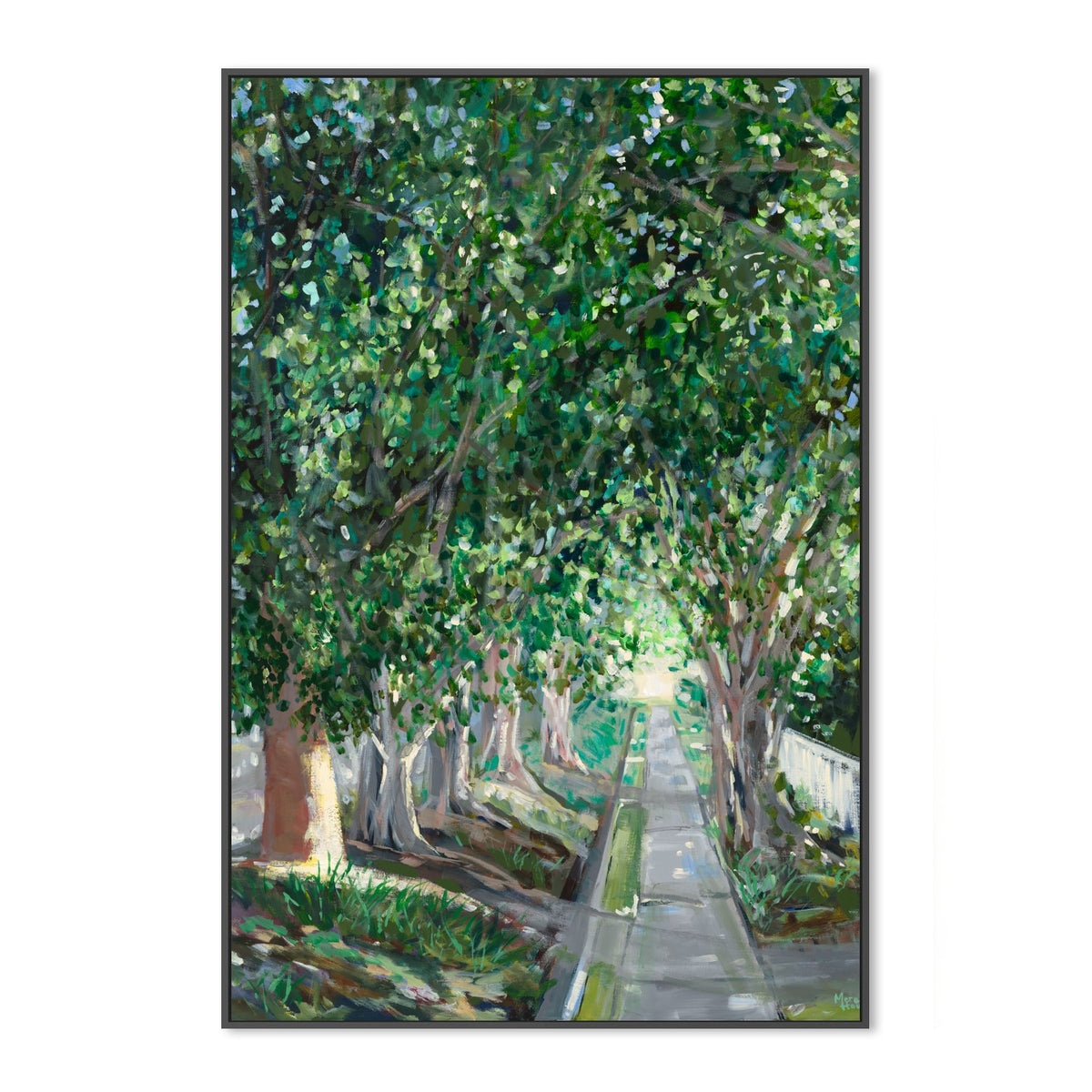 Ashgrove Heritage Trees