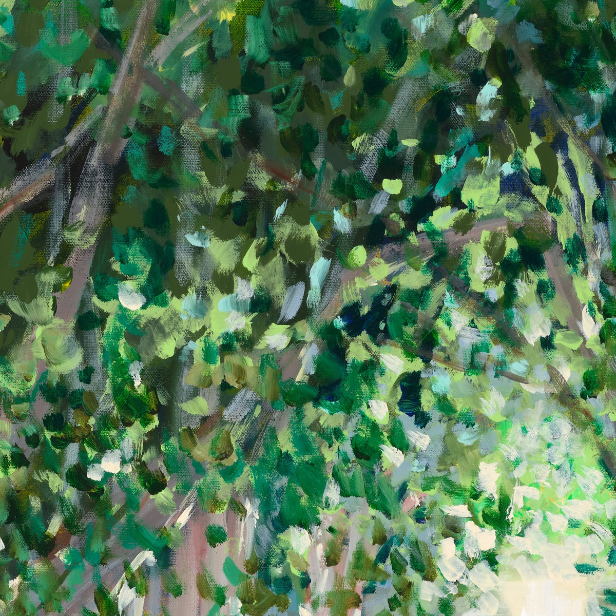 Ashgrove Heritage Trees