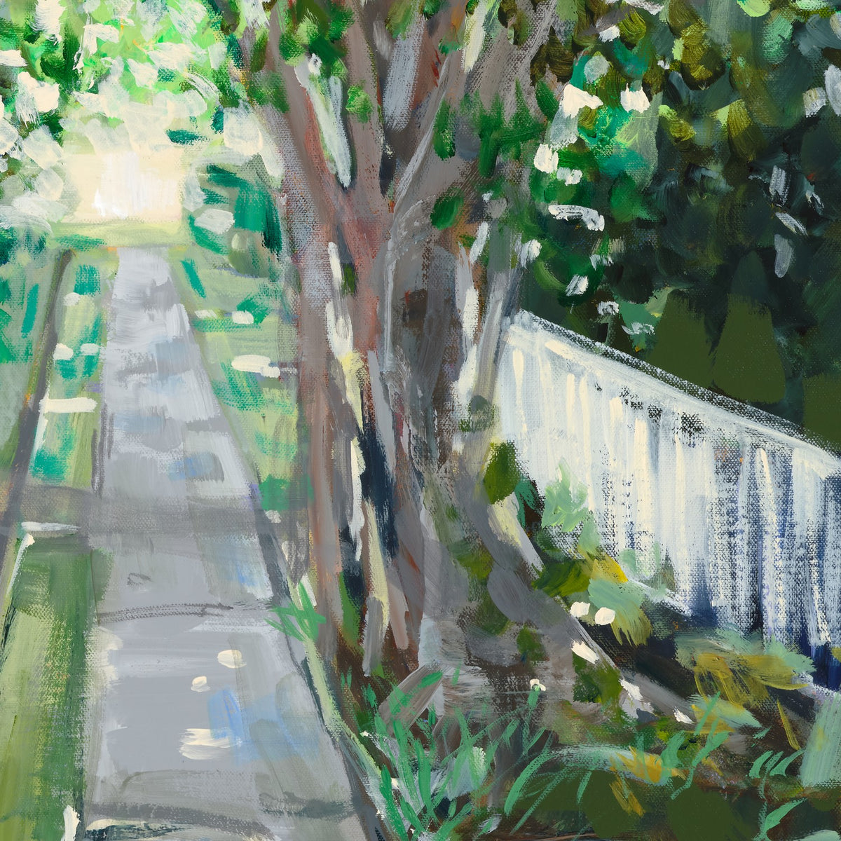 Ashgrove Heritage Trees