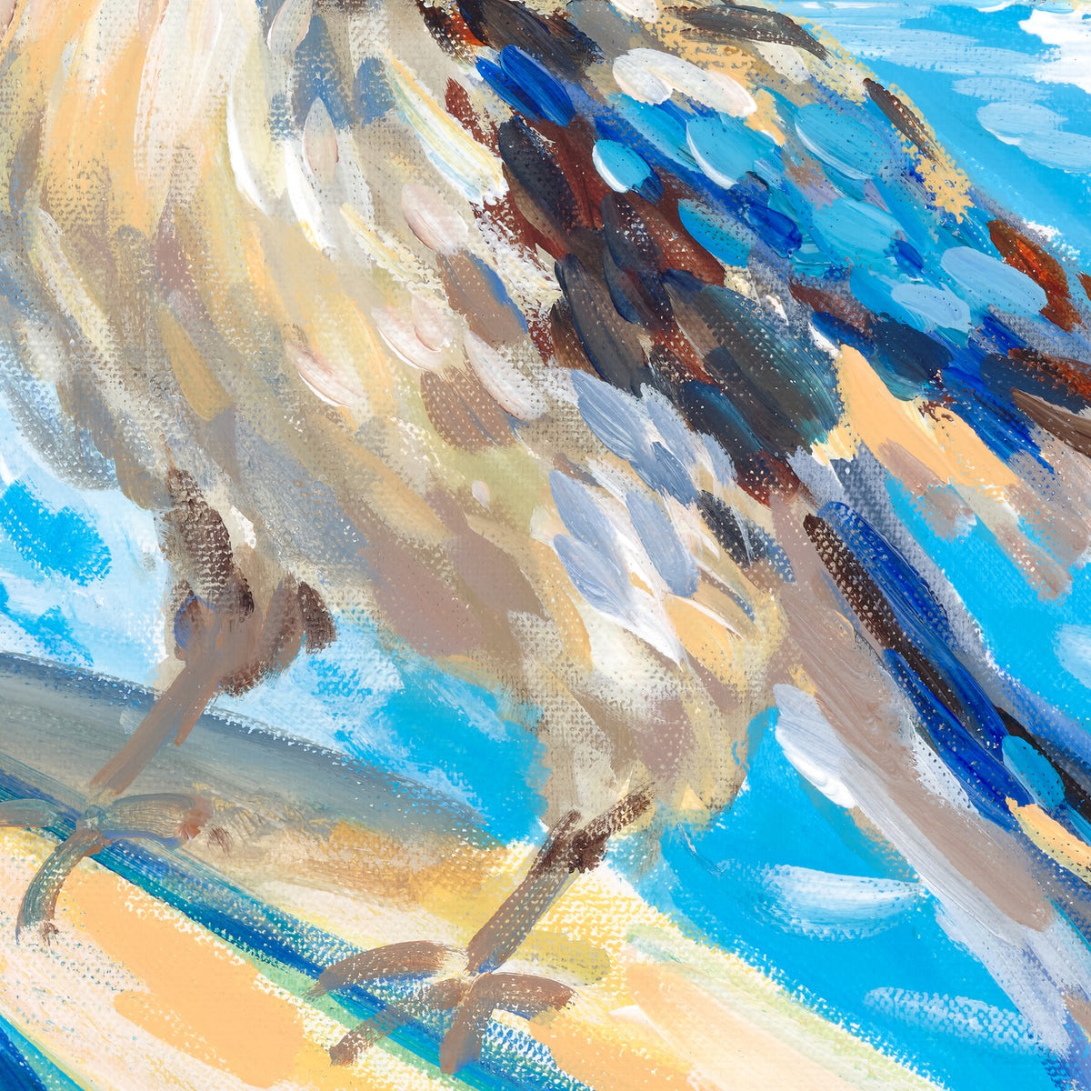 Surfing Kookaburra