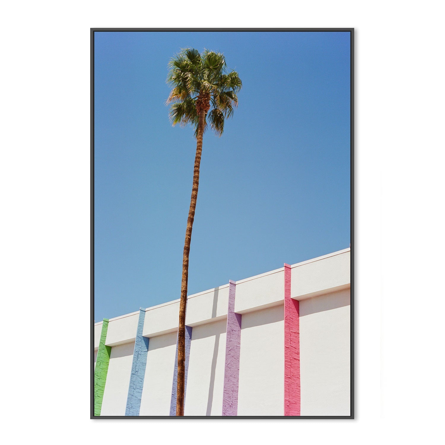 Palm Springs II , By Bethany Young