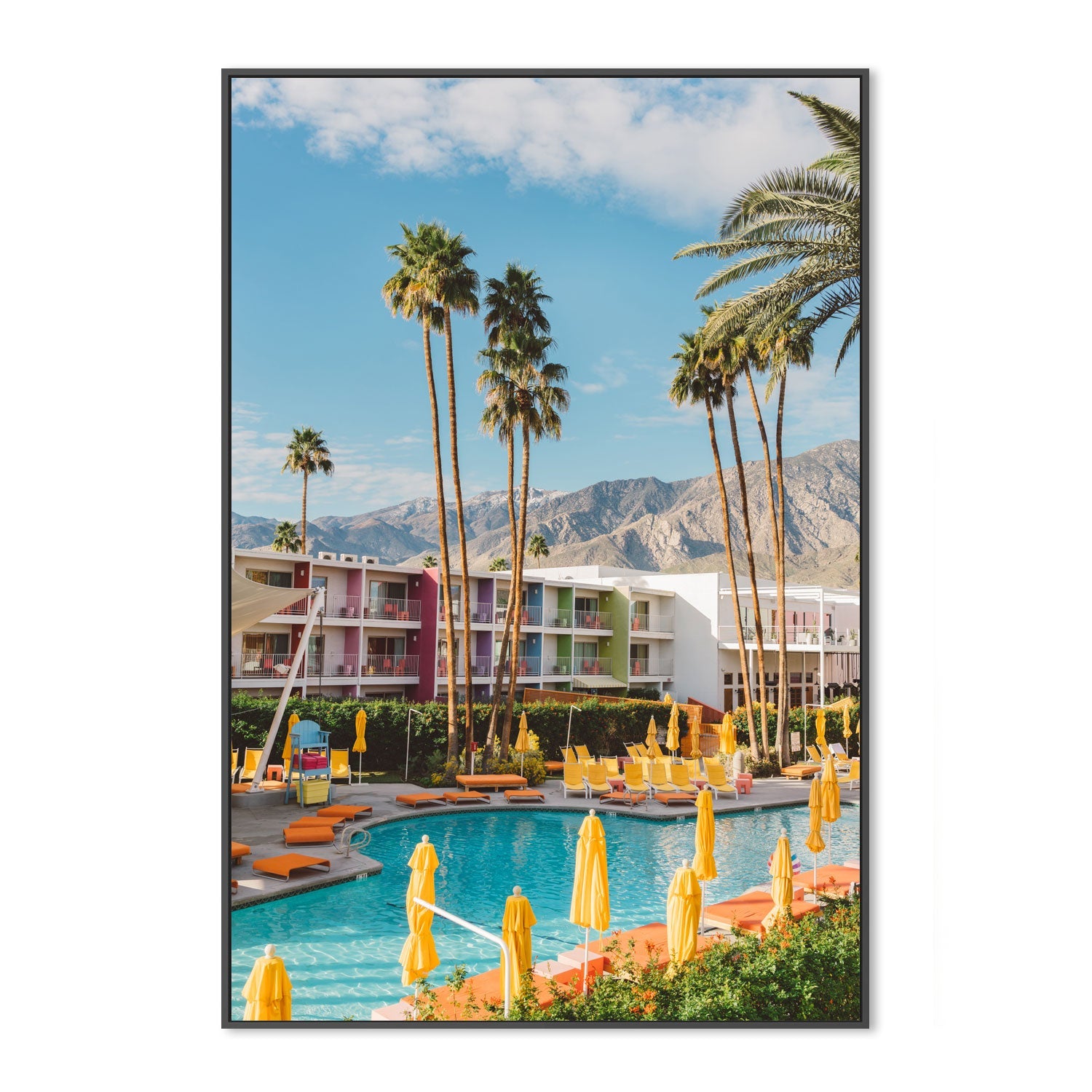 Palm Springs Saguaro , By Bethany Young