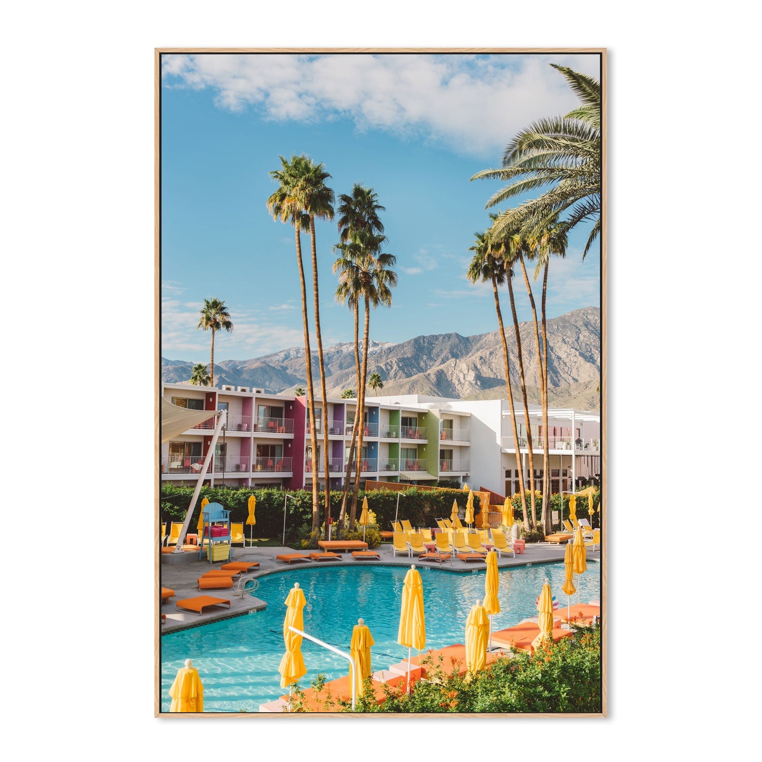 Palm Springs Saguaro , By Bethany Young