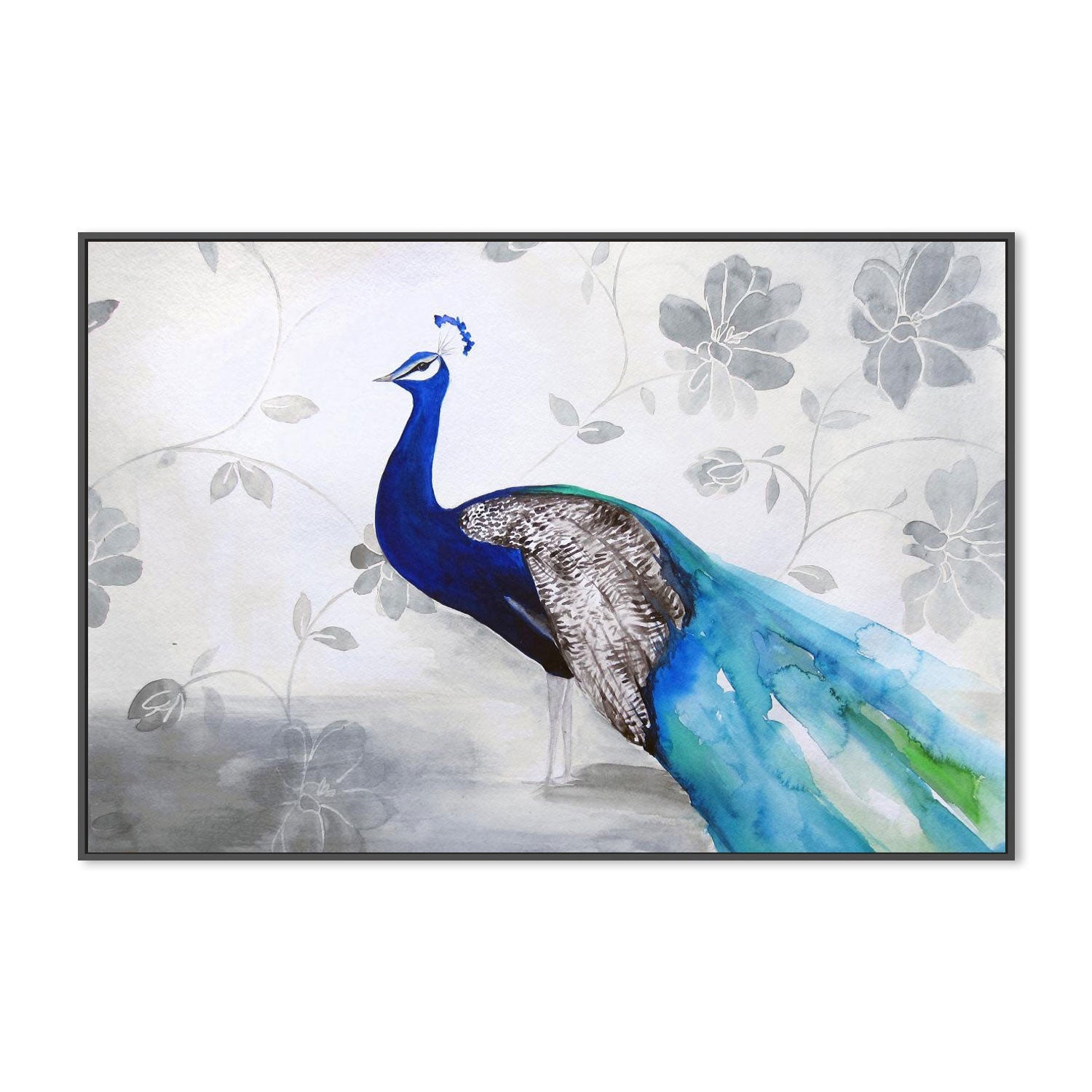 Peacock Fable Cool
