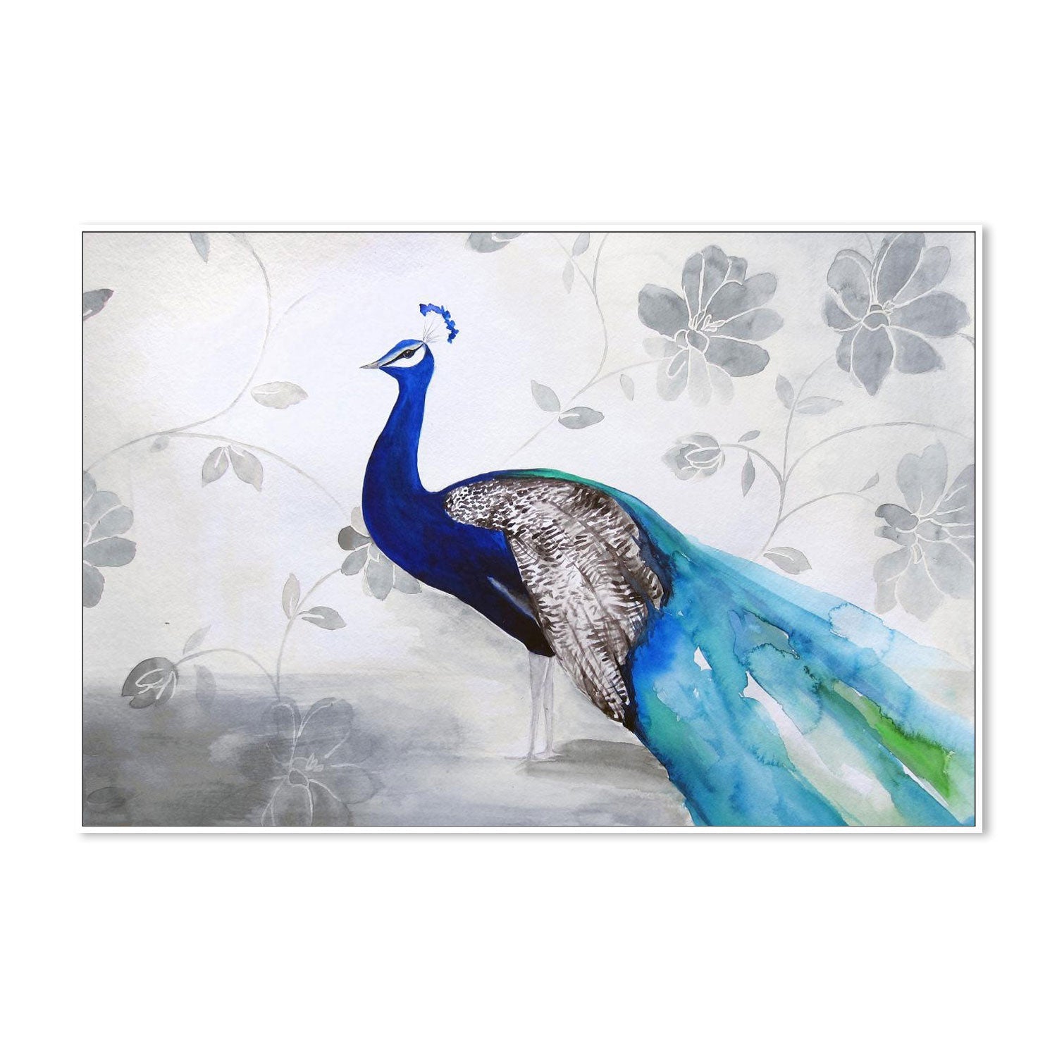 Peacock Fable Cool