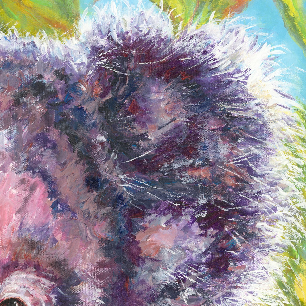 Koala Love scan