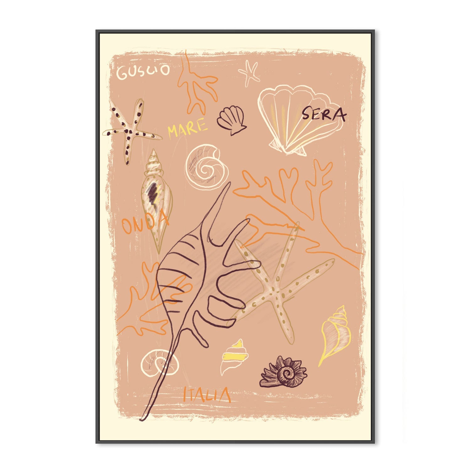 Shells , By Studio Dolci