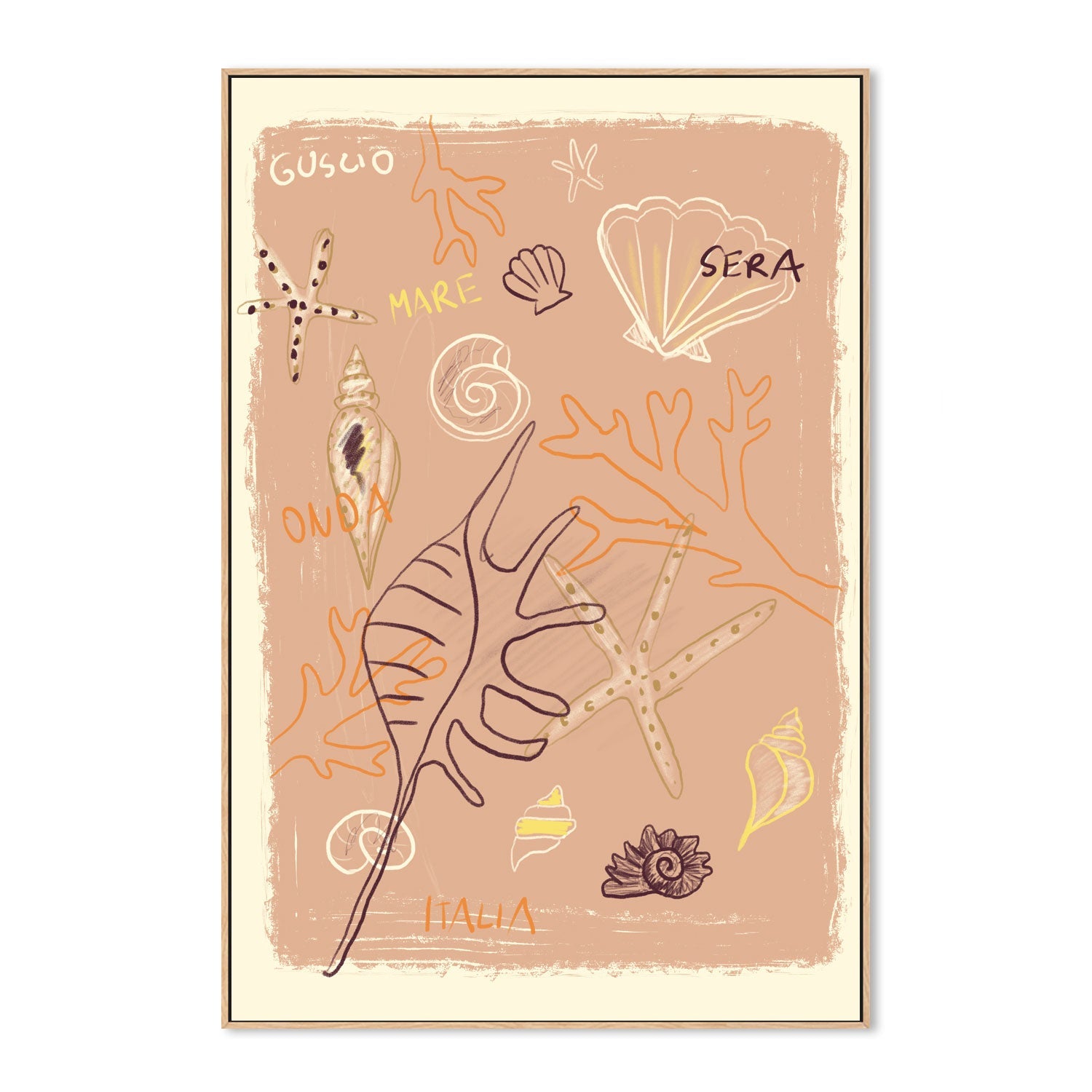 Shells , By Studio Dolci