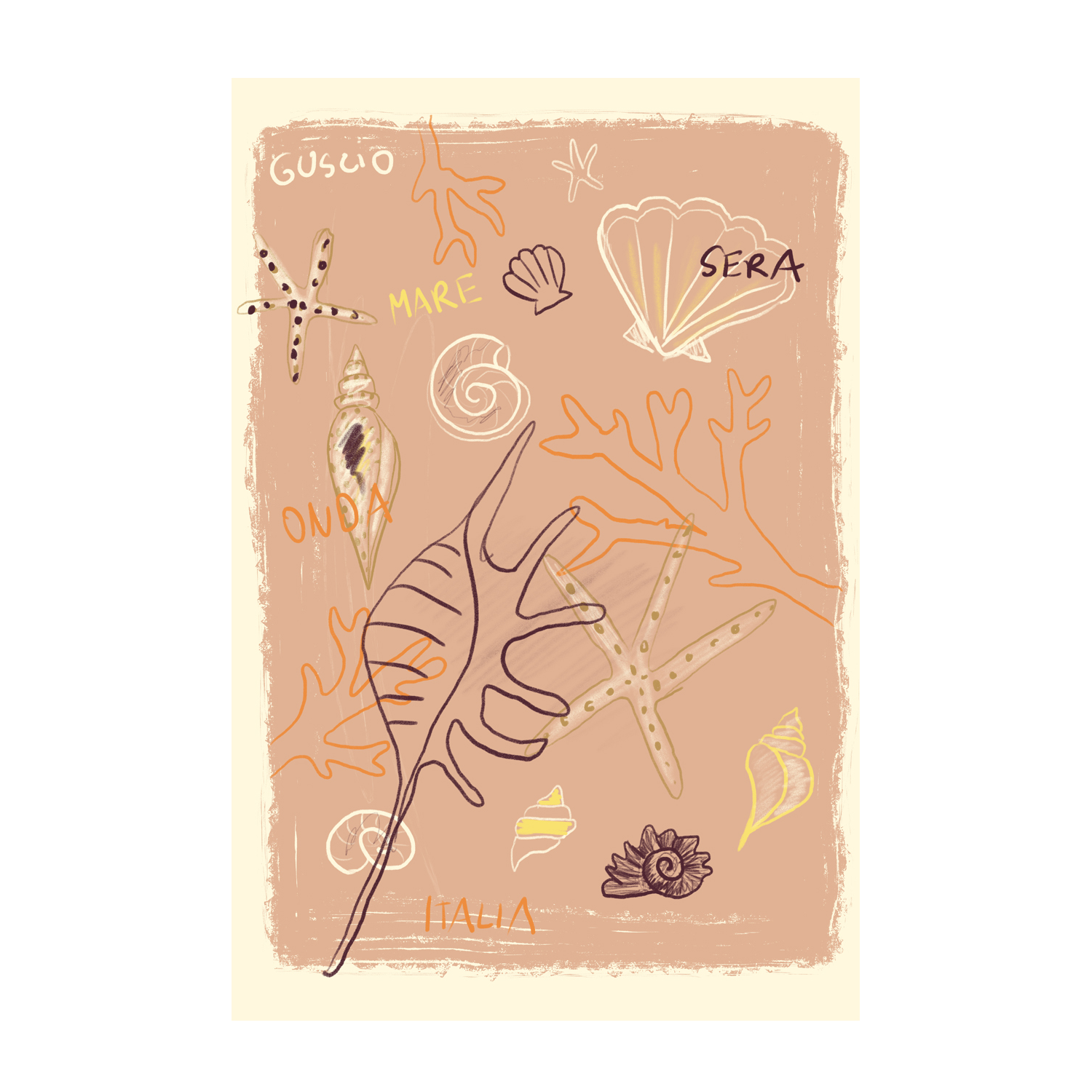 Shells , By Studio Dolci