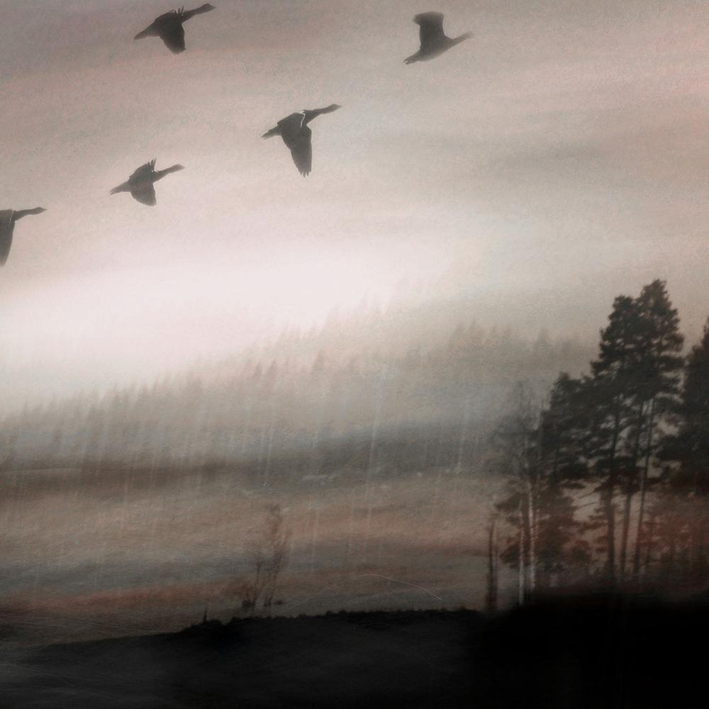 Birds Over Misty Lake-by-Christina Sillen-wall-art-print-canvas-poster-framed-Gioia