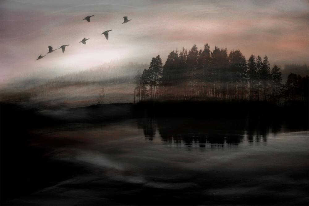 Birds Over Misty Lake-by-Christina Sillen-wall-art-print-canvas-poster-framed-Gioia