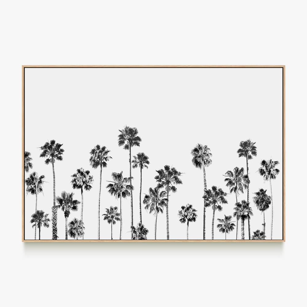 Black and White Palms, Style B-by-Gal Pittel-wall-art-print-canvas-poster-framed-Gioia