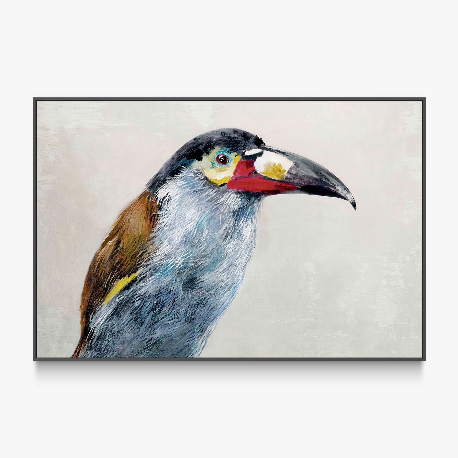 Black billed Mountain Toucan-by-Jacob Q-wall-art-print-canvas-poster-framed-Gioia