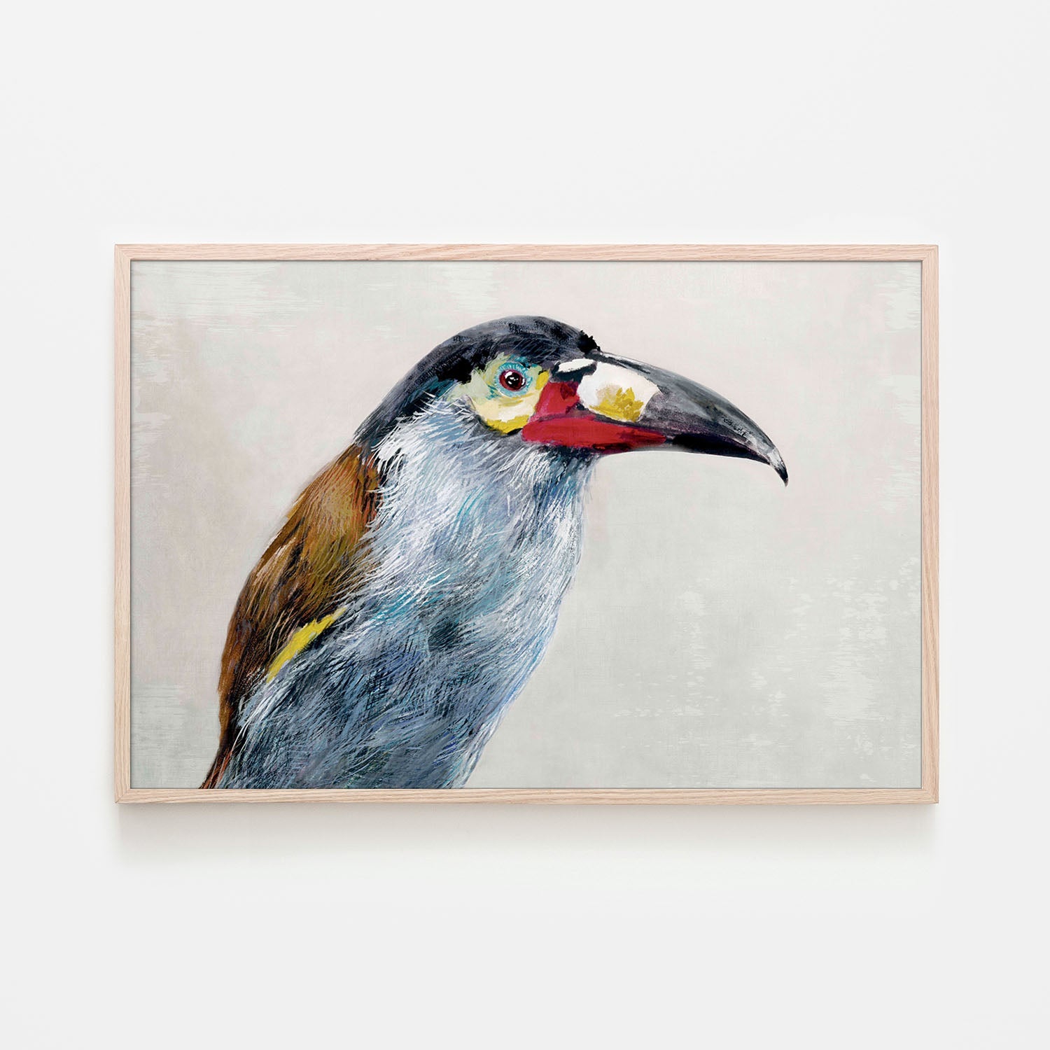 Black billed Mountain Toucan-by-Jacob Q-wall-art-print-canvas-poster-framed-Gioia