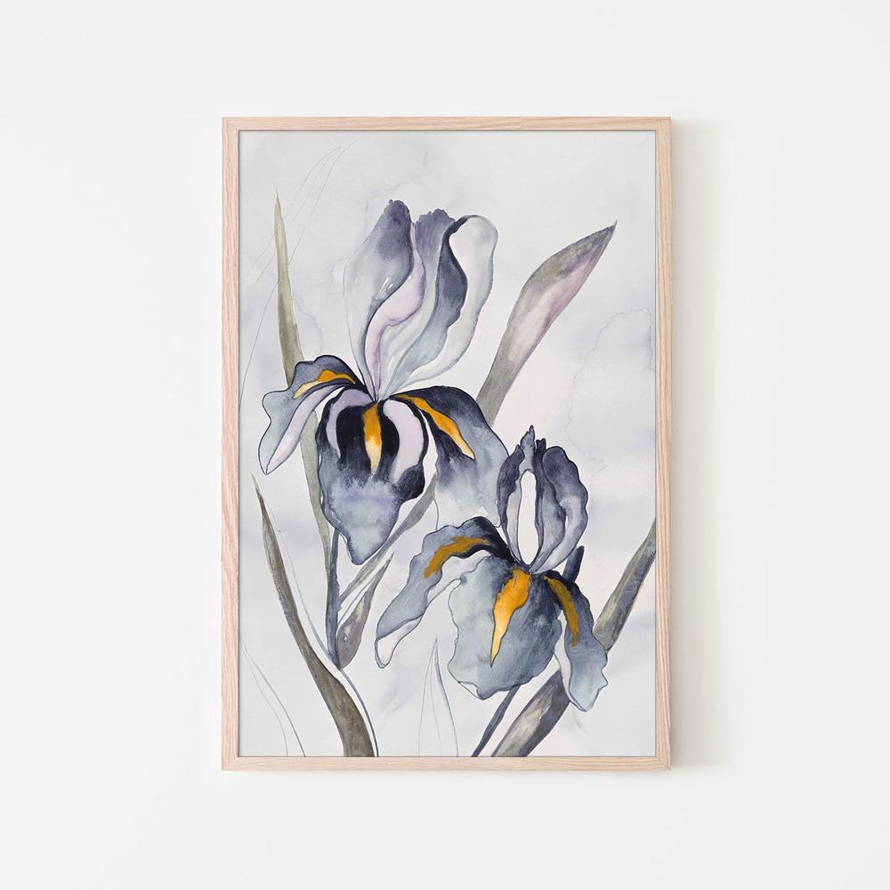Black Iris-by-Jacob Q-wall-art-print-canvas-poster-framed-Gioia