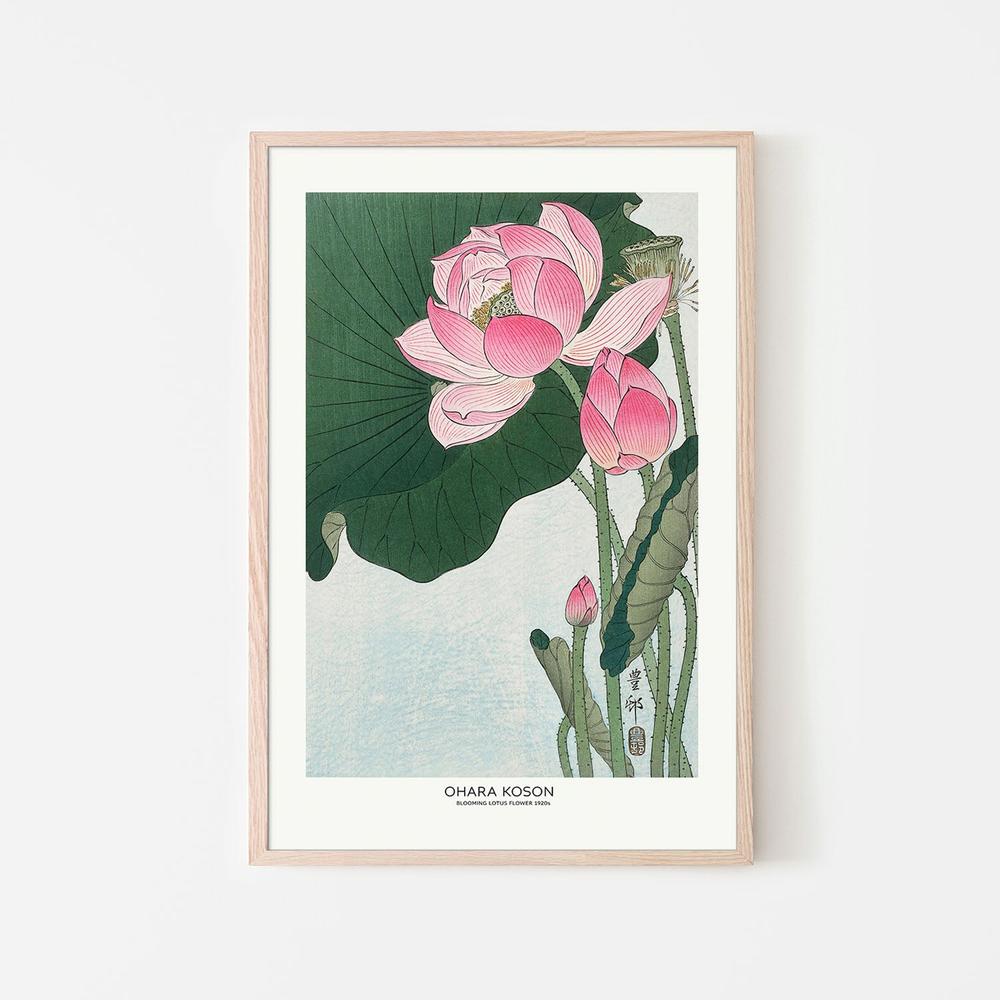 Blooming Lotus Flowers-by-Ohara Koson-wall-art-print-canvas-poster-framed-Gioia