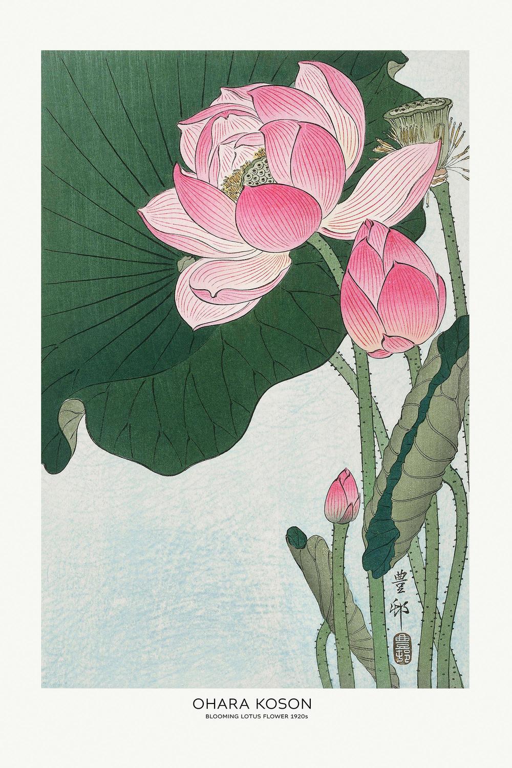 Blooming Lotus Flowers-by-Ohara Koson-wall-art-print-canvas-poster-framed-Gioia