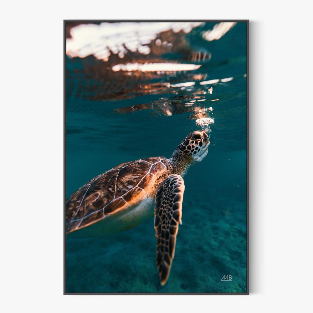 Blowing Bubbles-by-Max Blakesberg Studios-wall-art-print-canvas-poster-framed-Gioia