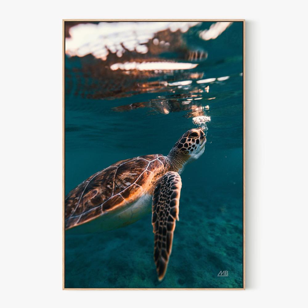 Blowing Bubbles-by-Max Blakesberg Studios-wall-art-print-canvas-poster-framed-Gioia