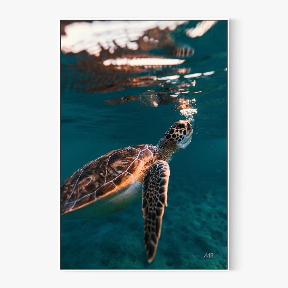 Blowing Bubbles-by-Max Blakesberg Studios-wall-art-print-canvas-poster-framed-Gioia