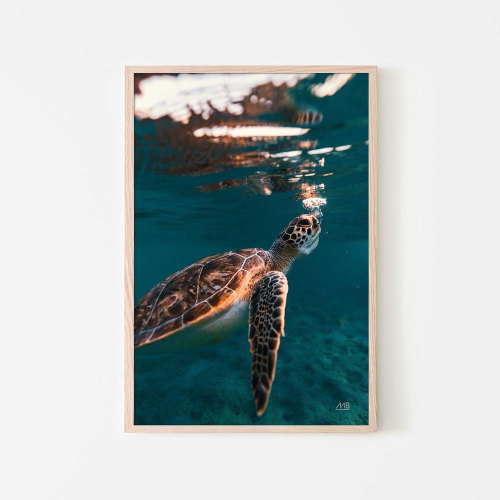 Blowing Bubbles-by-Max Blakesberg Studios-wall-art-print-canvas-poster-framed-Gioia