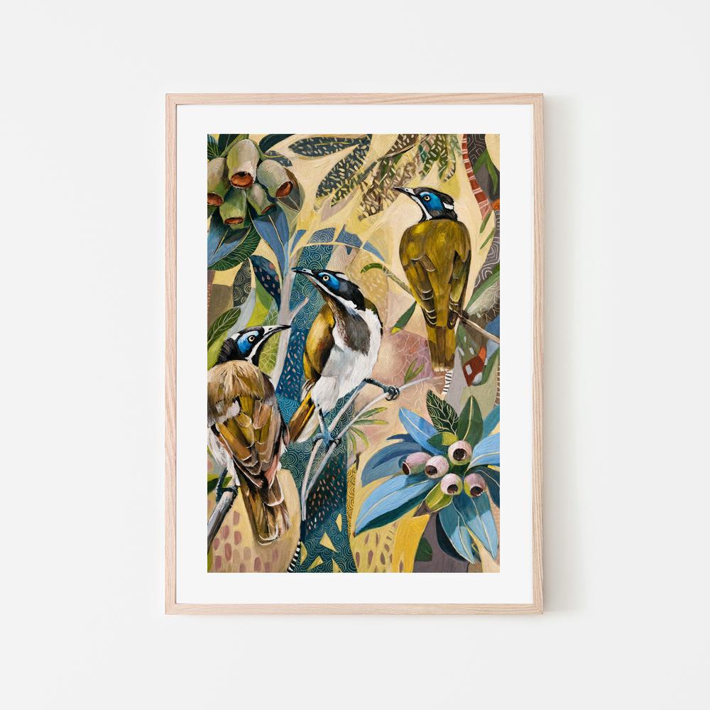 Blue Faced Honeyeaters with Gumnuts-by-Susan Trudinger-wall-art-print-canvas-poster-framed-Gioia