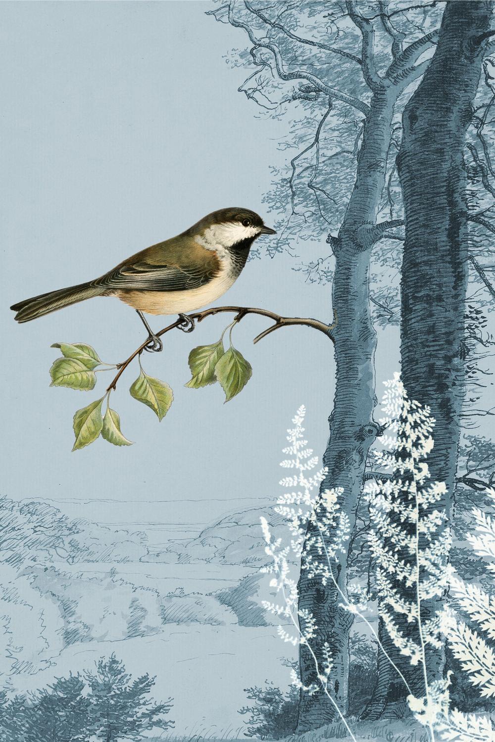 wall-art-print-canvas-poster-framed-Blue Forest Bird-1