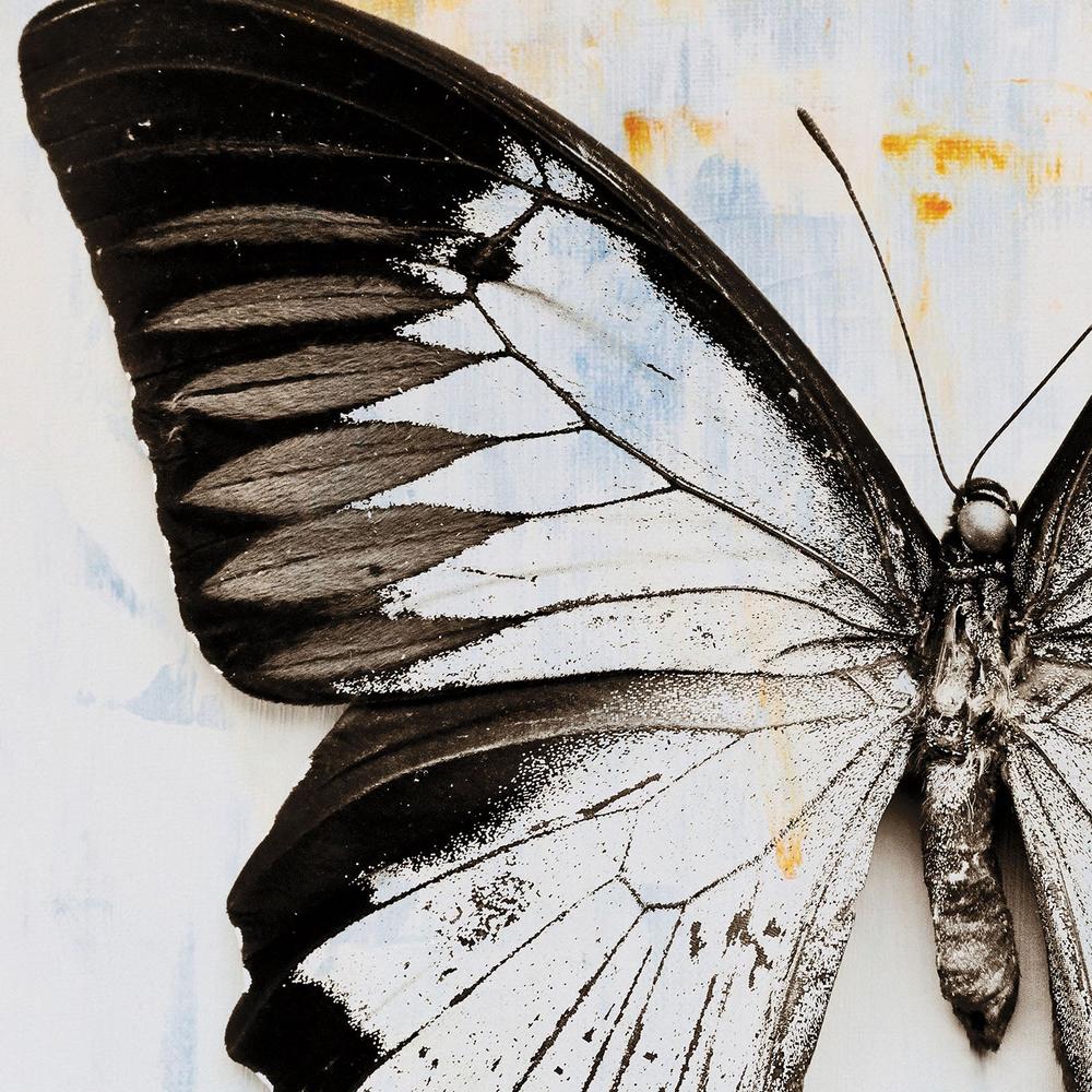 Butterfly, Style A-by-Deborah Revell-wall-art-print-canvas-poster-framed-Gioia