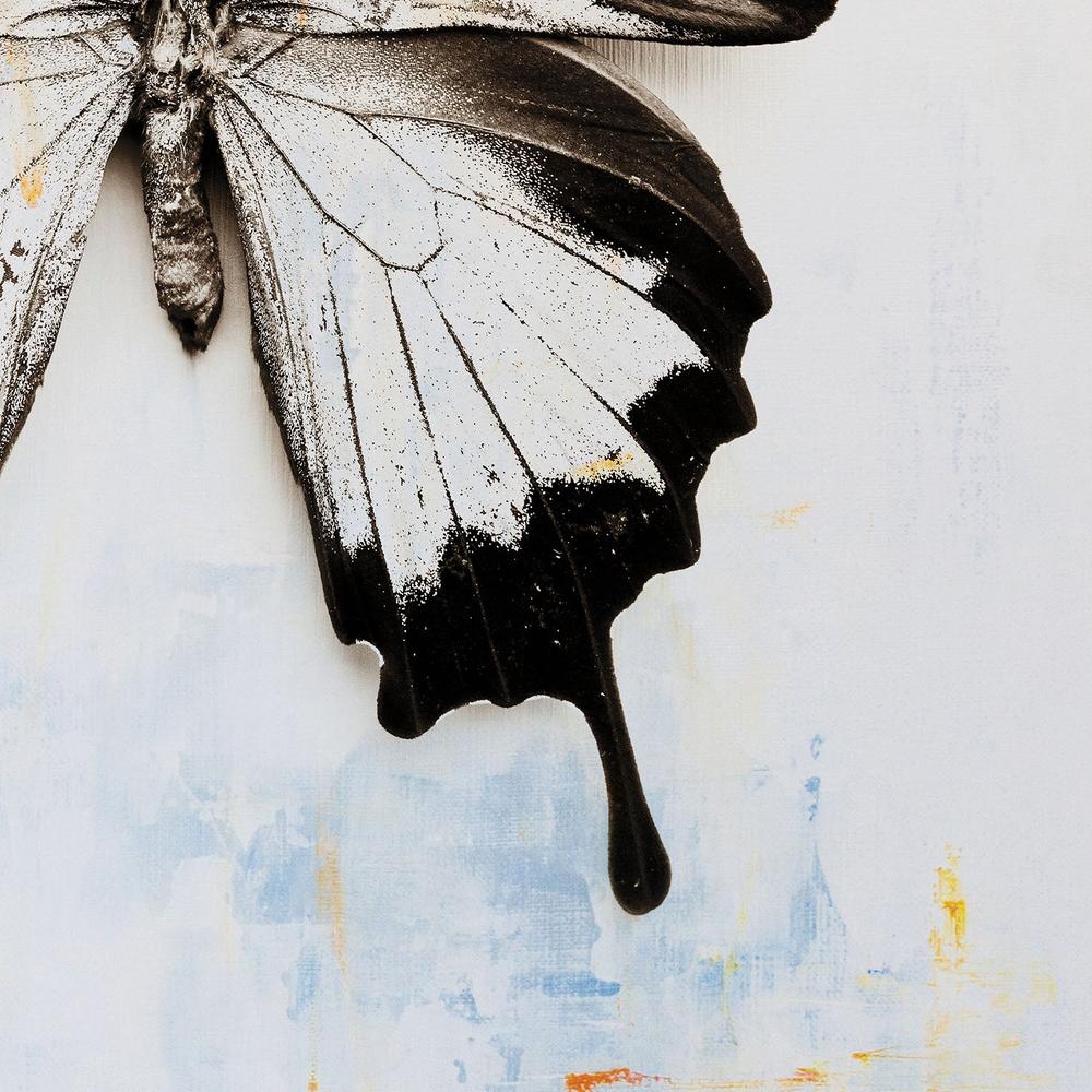 Butterfly, Style A-by-Deborah Revell-wall-art-print-canvas-poster-framed-Gioia