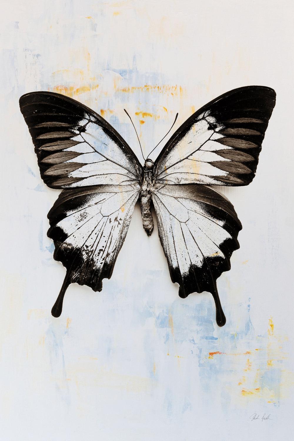 Butterfly, Style A-by-Deborah Revell-wall-art-print-canvas-poster-framed-Gioia