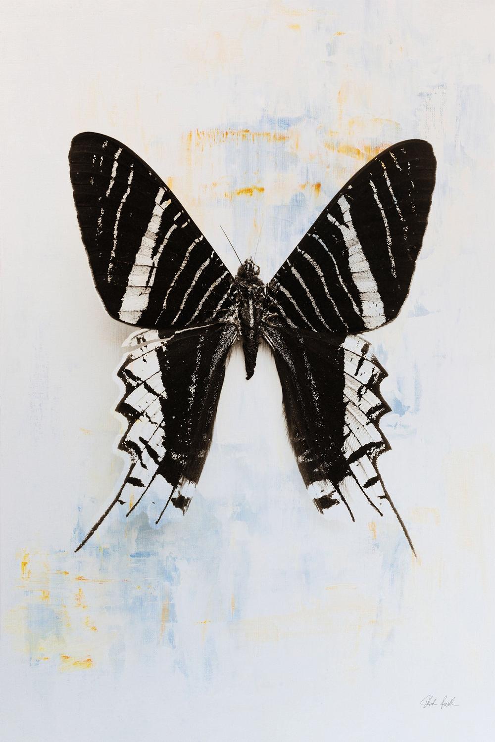 Butterfly, Style C-by-Deborah Revell-wall-art-print-canvas-poster-framed-Gioia