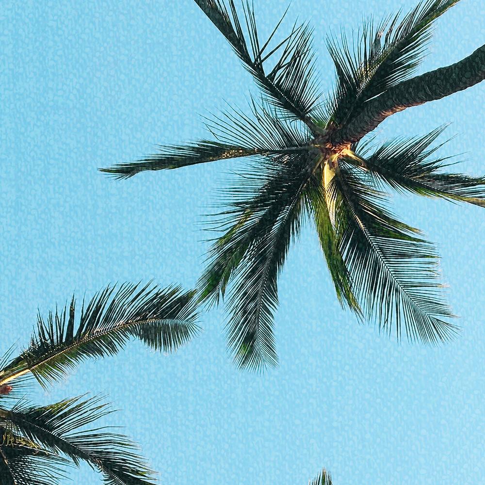 California Sky-by-Gal Pittel-wall-art-print-canvas-poster-framed-Gioia