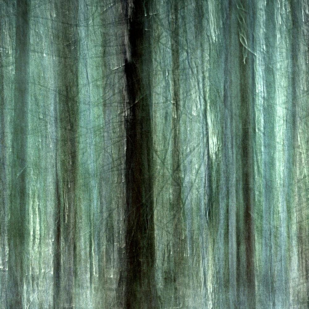 Ethereal Forest Blur-by-Christina Sillen-wall-art-print-canvas-poster-framed-Gioia
