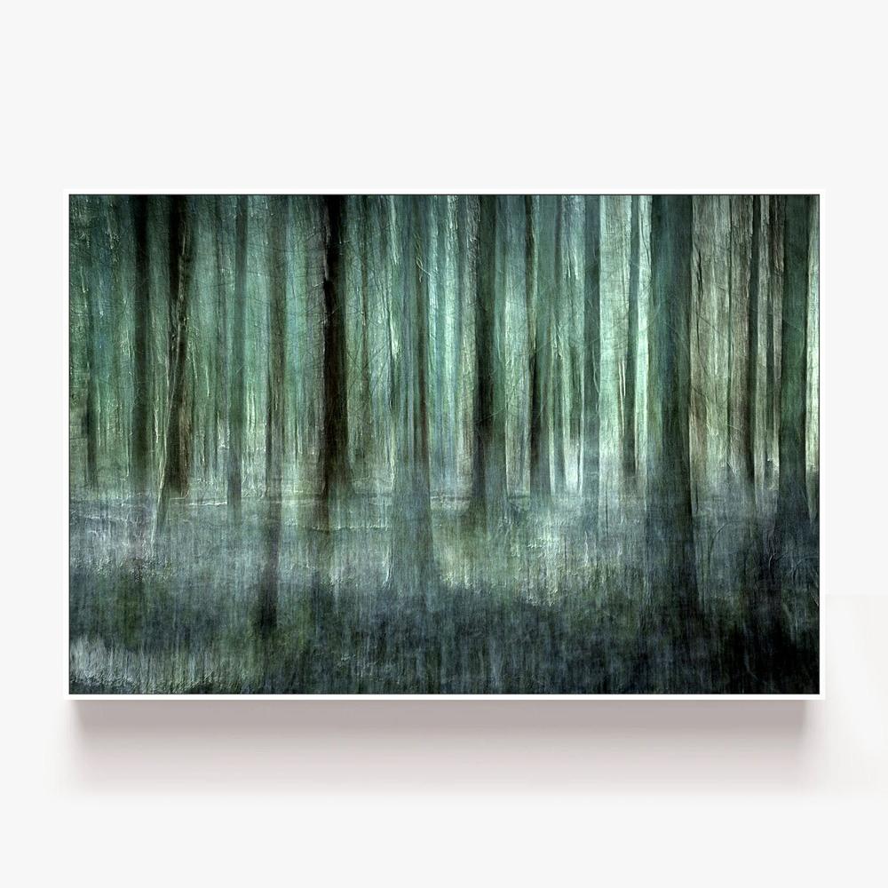 Ethereal Forest Blur-by-Christina Sillen-wall-art-print-canvas-poster-framed-Gioia