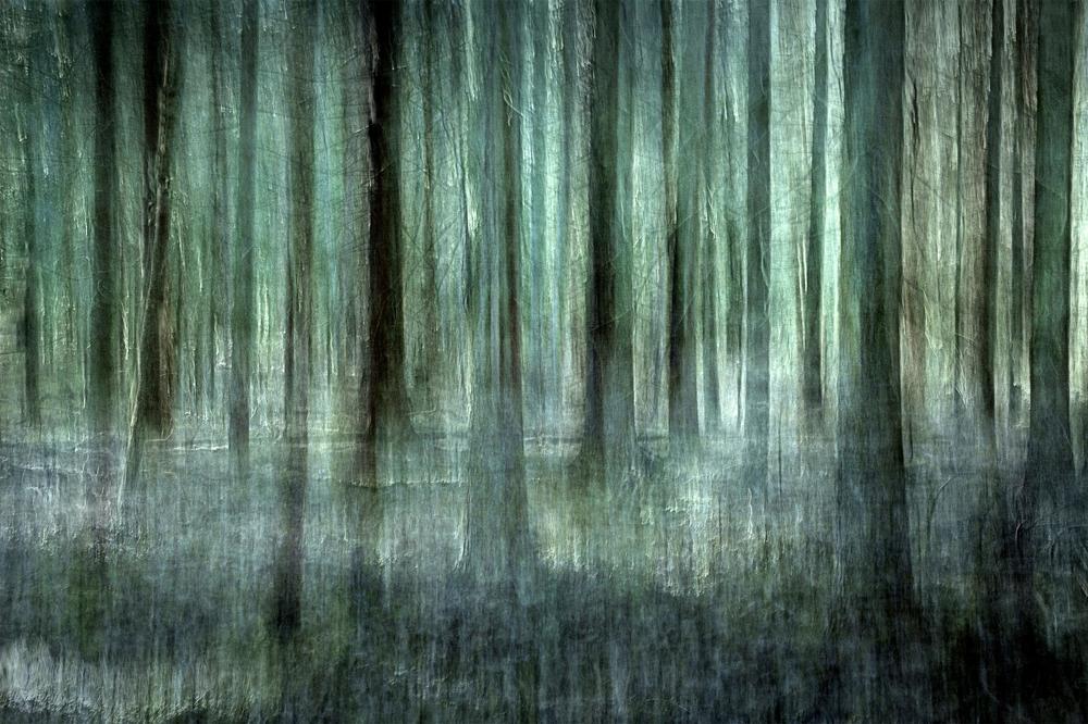Ethereal Forest Blur-by-Christina Sillen-wall-art-print-canvas-poster-framed-Gioia