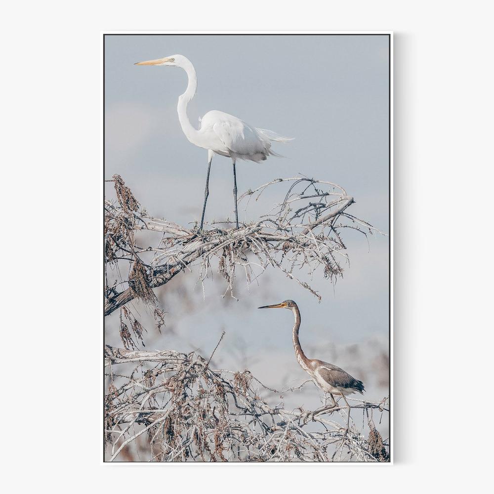 Everglades Pair-by-Nathan Larson-wall-art-print-canvas-poster-framed-Gioia