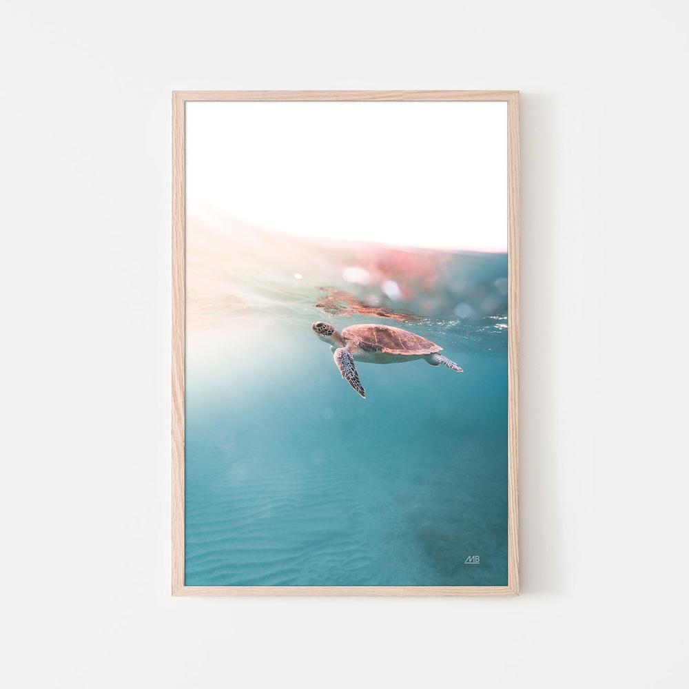 Float On-by-Max Blakesberg Studios-wall-art-print-canvas-poster-framed-Gioia