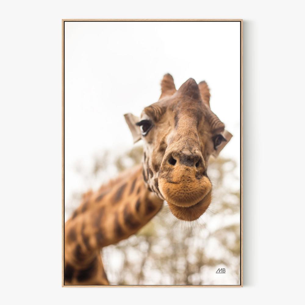 Funny Face, Style A-by-Max Blakesberg Studios-wall-art-print-canvas-poster-framed-Gioia