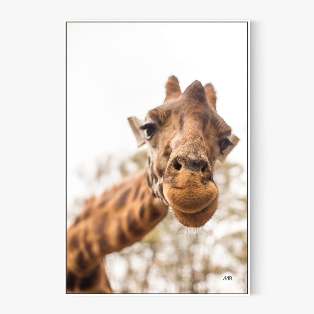 Funny Face, Style A-by-Max Blakesberg Studios-wall-art-print-canvas-poster-framed-Gioia