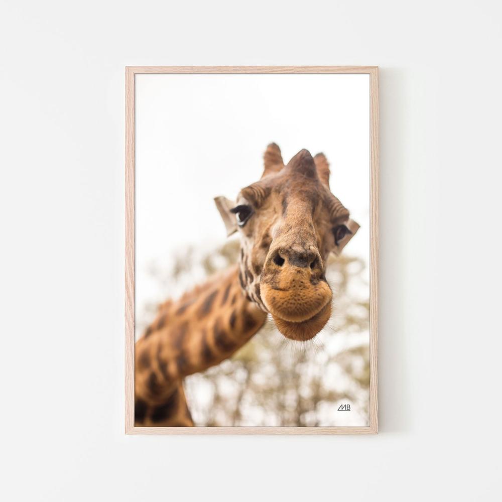 Funny Face, Style A-by-Max Blakesberg Studios-wall-art-print-canvas-poster-framed-Gioia