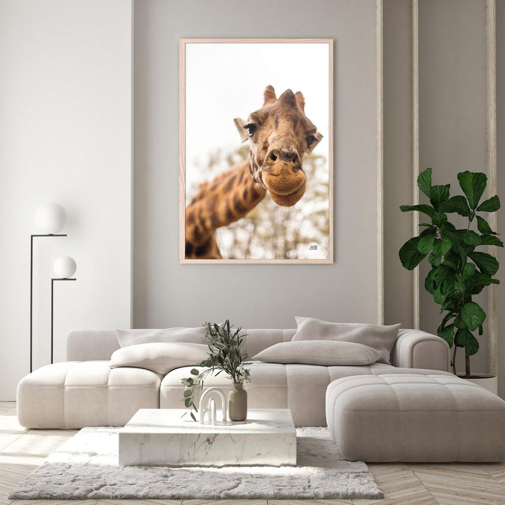 Funny Face, Style A-by-Max Blakesberg Studios-wall-art-print-canvas-poster-framed-Gioia