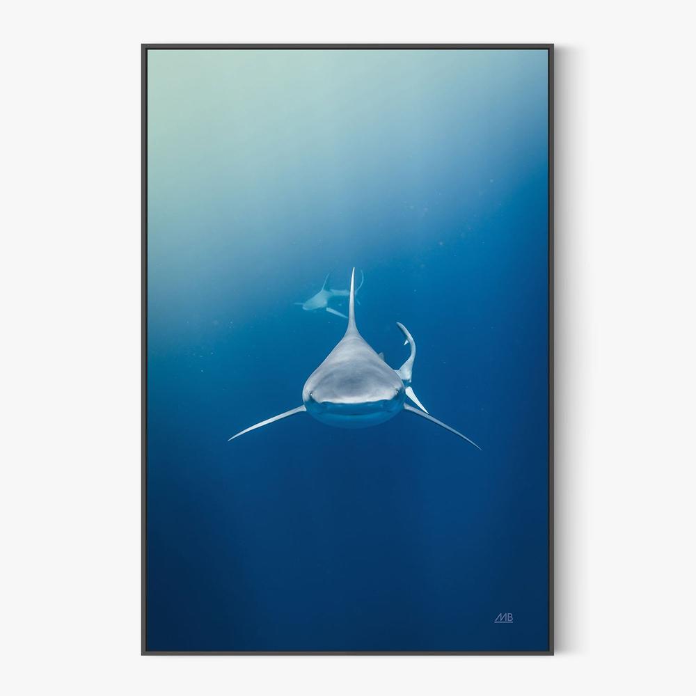 Heads Up-by-Max Blakesberg Studios-wall-art-print-canvas-poster-framed-Gioia