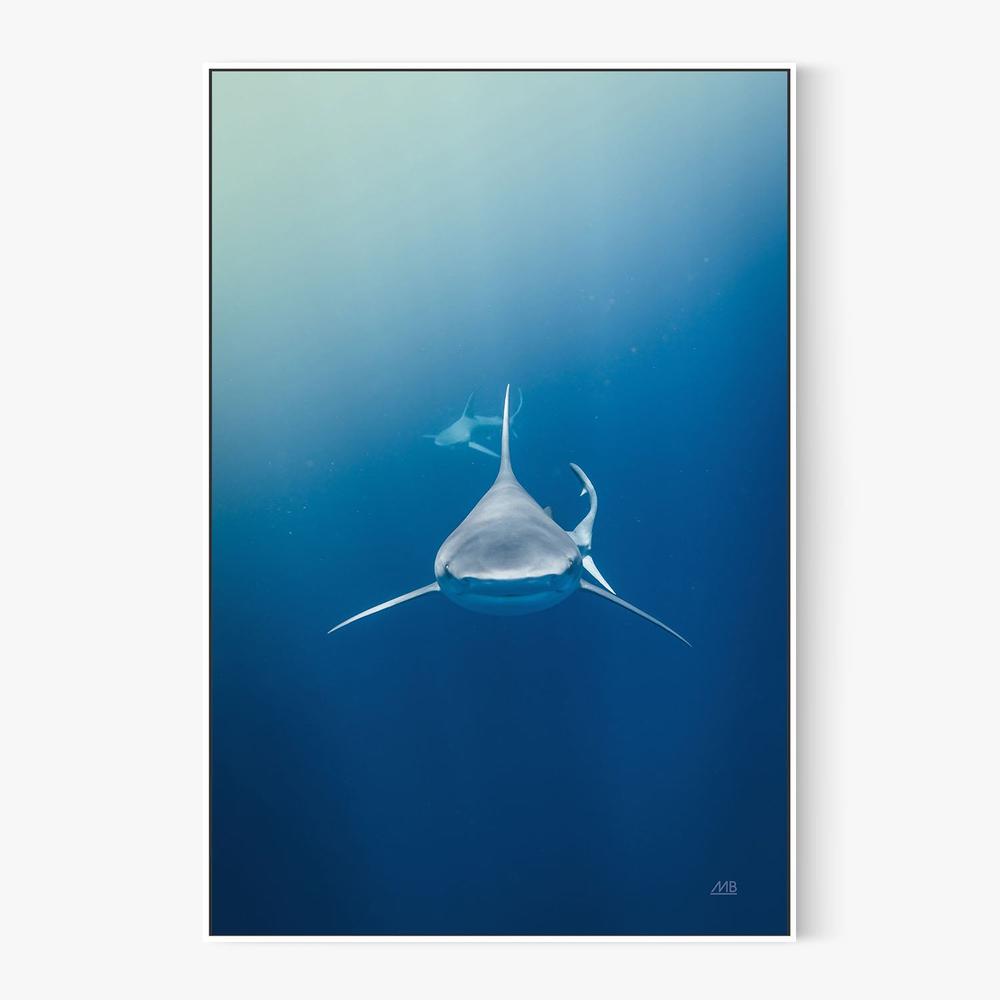 Heads Up-by-Max Blakesberg Studios-wall-art-print-canvas-poster-framed-Gioia