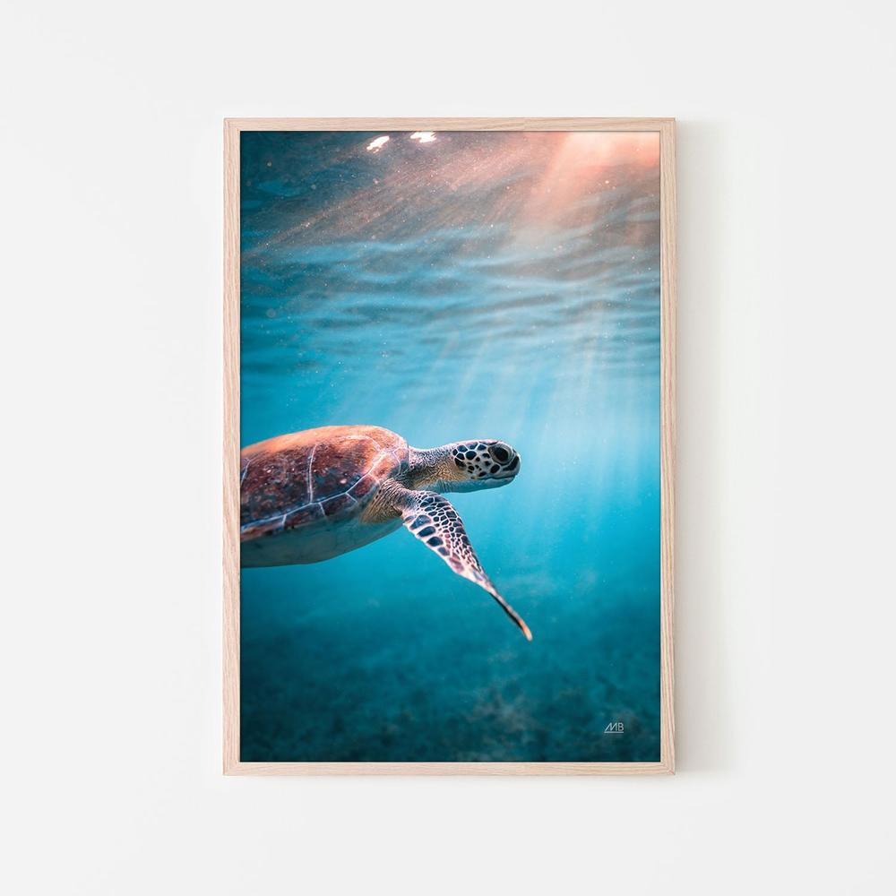 Just Keep Swimming-by-Max Blakesberg Studios-wall-art-print-canvas-poster-framed-Gioia