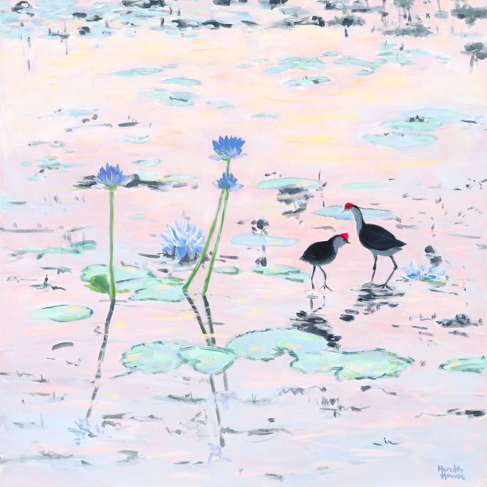 Kakadu Jacana-by-Meredith Howse-wall-art-print-canvas-poster-framed-Gioia