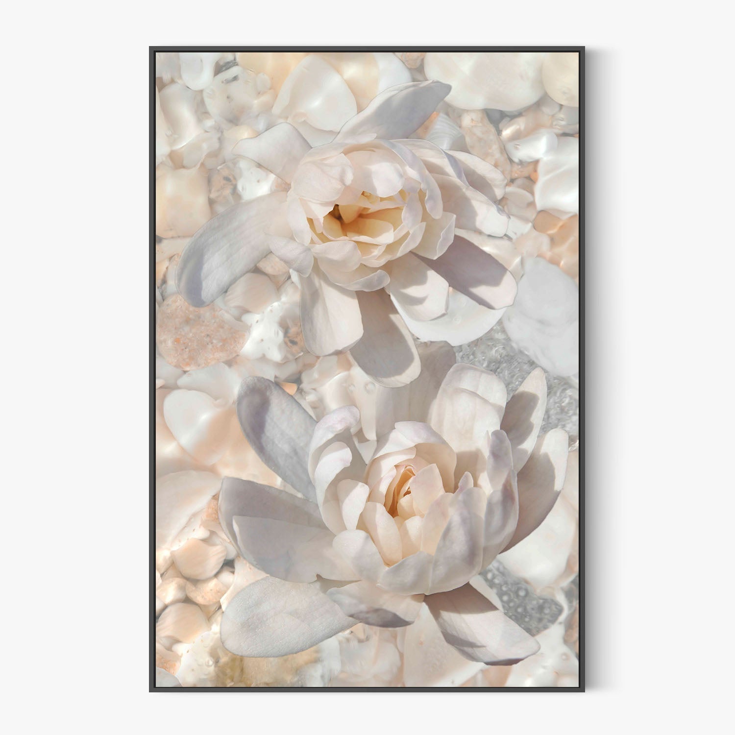 Magnolias in Light-by-Leda Robertson-wall-art-print-canvas-poster-framed-Gioia