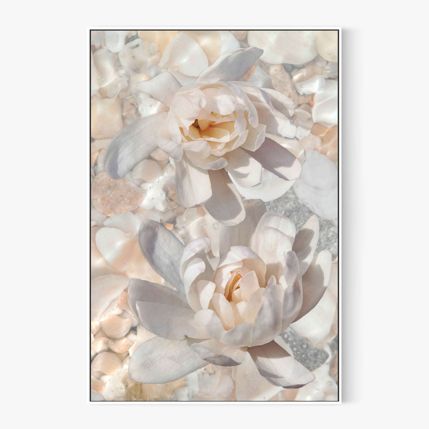 Magnolias in Light-by-Leda Robertson-wall-art-print-canvas-poster-framed-Gioia