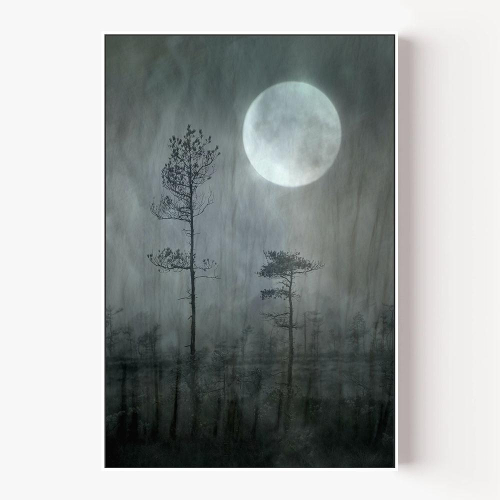 Misty Moon Forest-by-Christina Sillen-wall-art-print-canvas-poster-framed-Gioia
