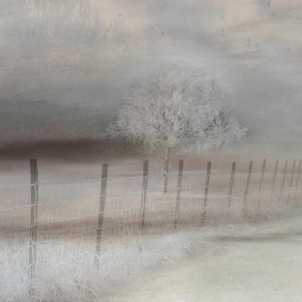 Misty Winter Landscape-by-Christina Sillen-wall-art-print-canvas-poster-framed-Gioia