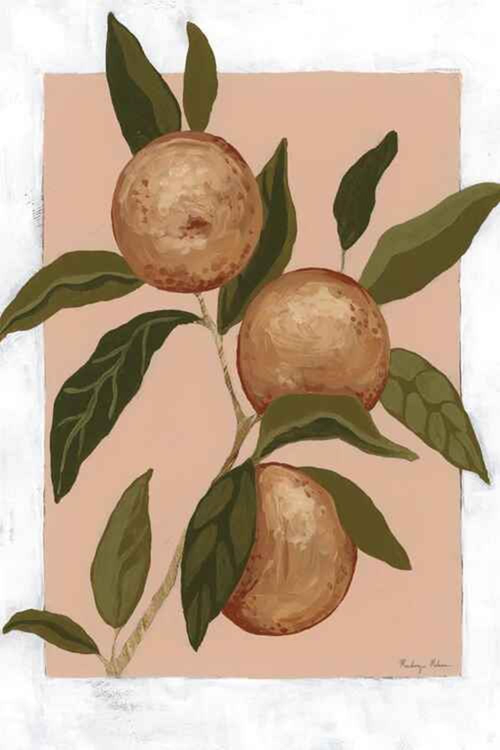 Orange Study, Style A & B, Set Of 2-by-Mackenzie Nelson-wall-art-print-canvas-poster-framed-Gioia